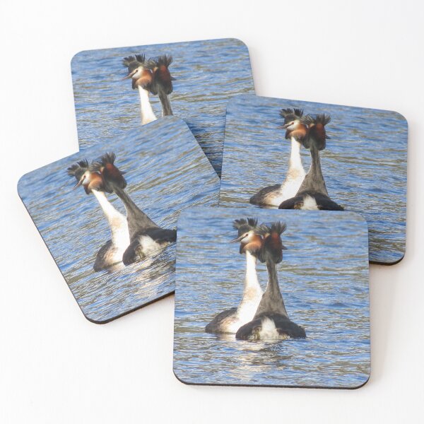 Item preview, Pair of Great Crested Grebe designed and sold by Joanne Wall.