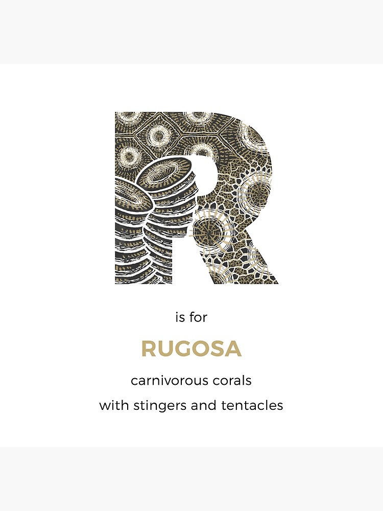 R is for Rugosa by franzanth