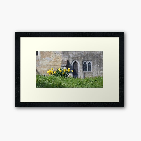 Daffodils, Headcorn Village Framed Art Print