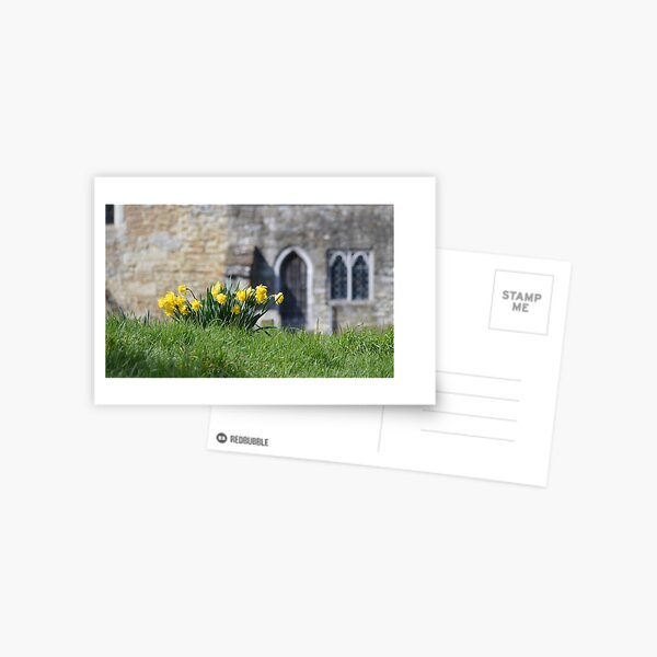 Daffodils, Headcorn Village Postcard