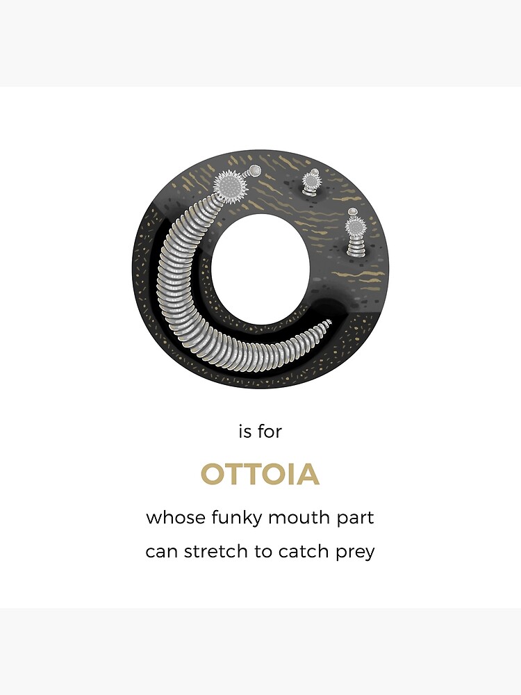 O is for Ottoia by franzanth