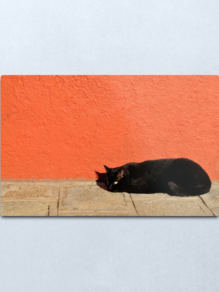 Alternate view of Black Cat Red Wall Metal Print