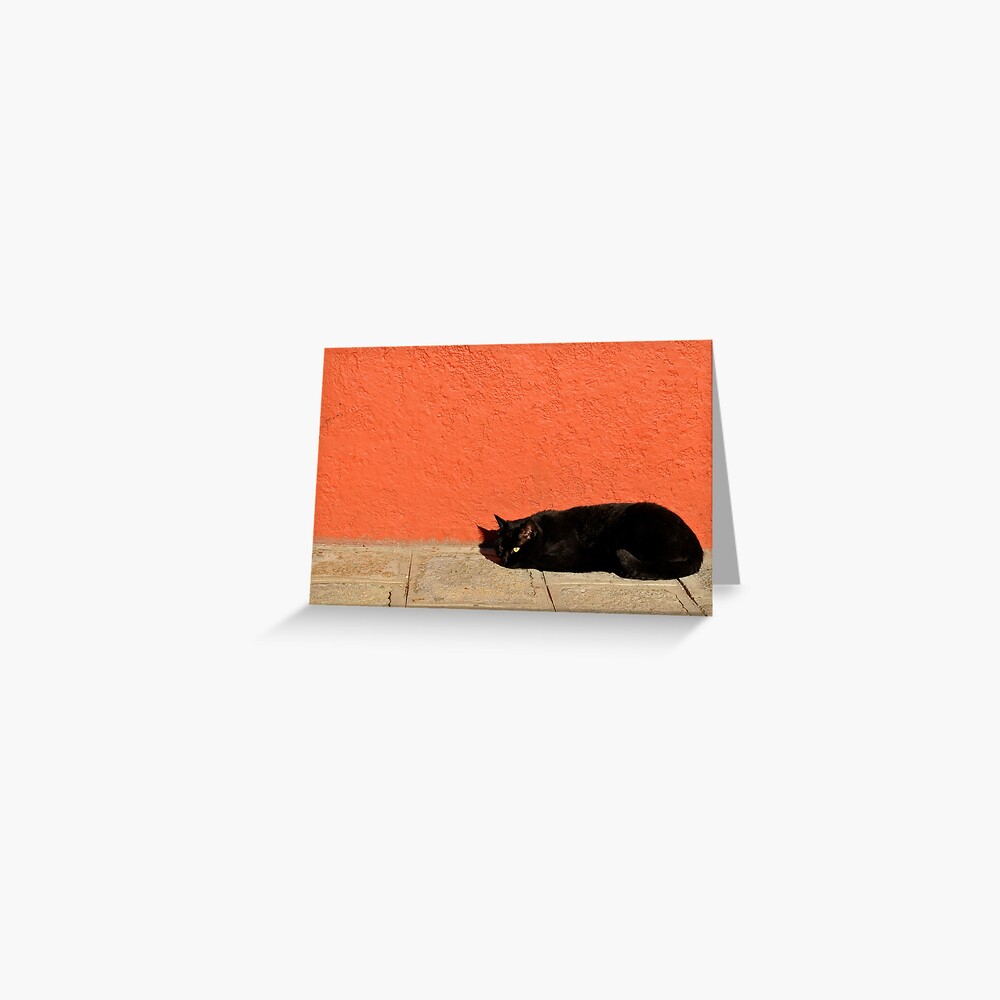 Black Cat Red Wall Greeting Card
