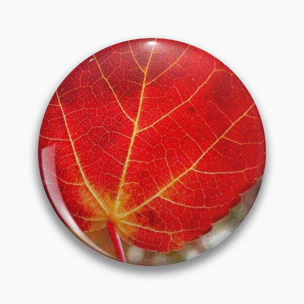 Item preview, Leaf On Windscreen During The Fall  designed and sold by Ady199.
