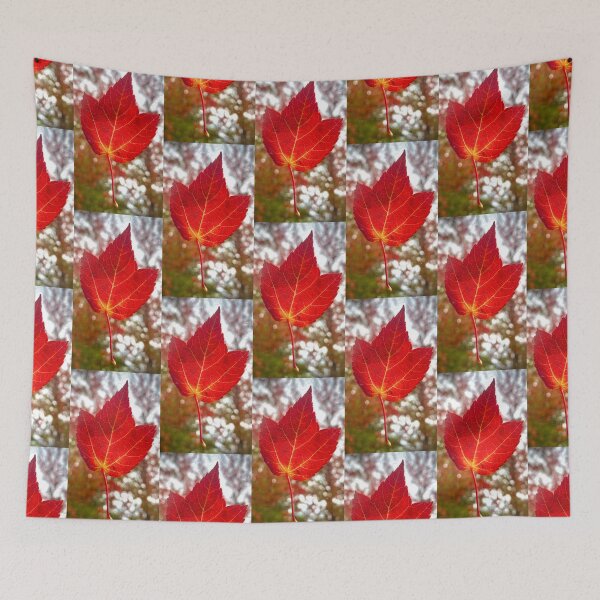 Item preview, Leaf On Windscreen During The Fall  designed and sold by Ady199.
