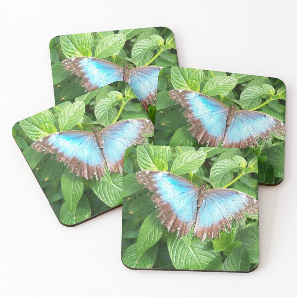 Artikelvorschau, Blauer Schmetterling entworfen und verkauft von M-Baughman-Art.