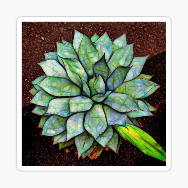 agave macroacantha – アガベ ¦  Sticker