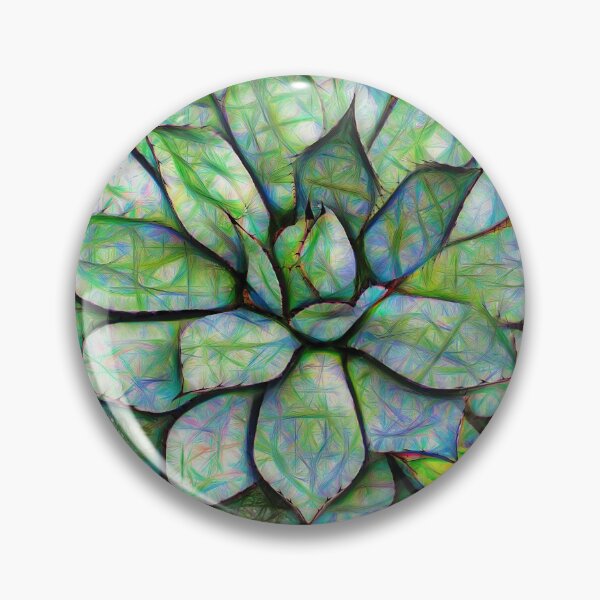 Item preview, black spined agave – agave macroacantha ¦ designed and sold by nature. electrified..