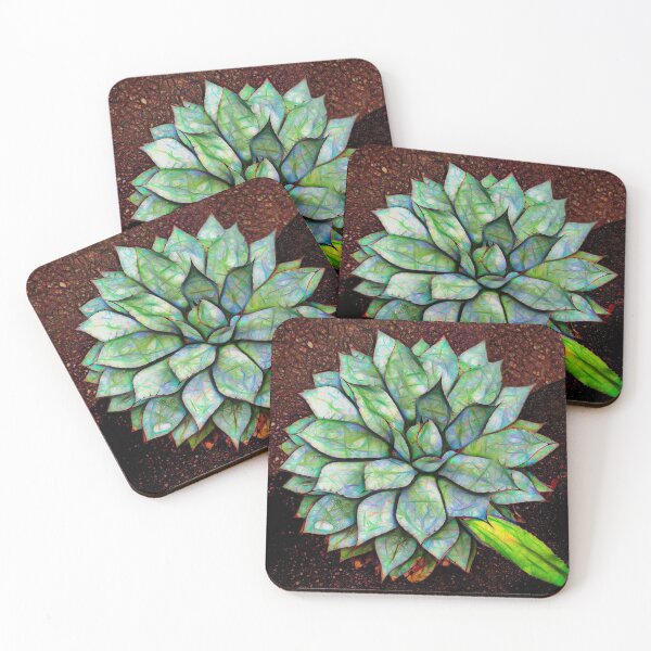 Item preview, black spined agave – agave macroacantha ¦ designed and sold by nature. electrified..