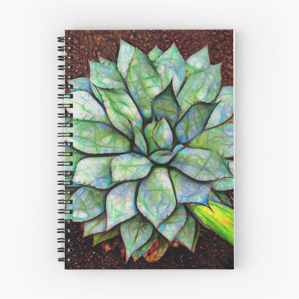 Item preview, black spined agave – agave macroacantha ¦ designed and sold by nature. electrified..