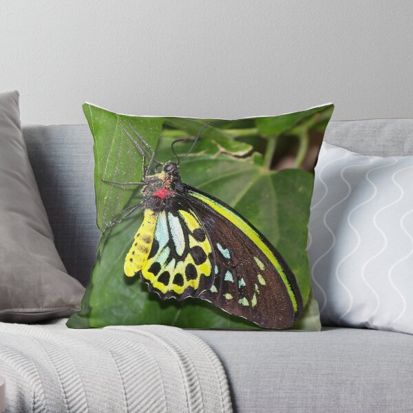 Pollen Encrusted Butterfly Throw Pillow