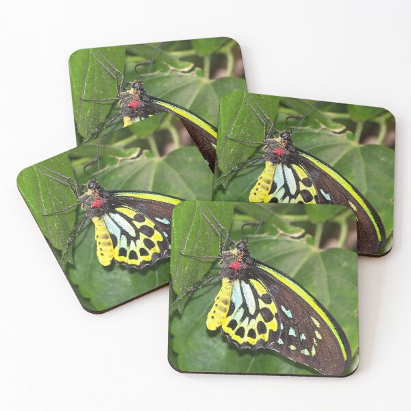 Artikelvorschau, Mit Pollen verkrusteter Schmetterling entworfen und verkauft von M-Baughman-Art.