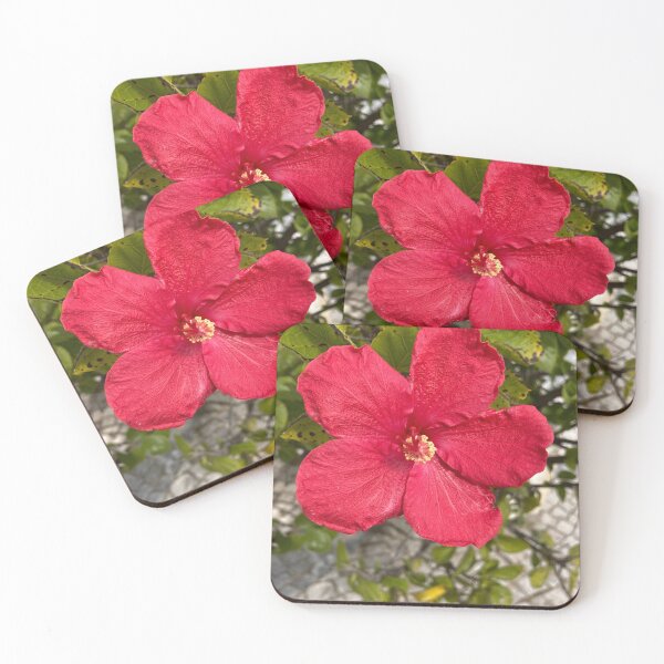 Aperçu de l'œuvre Belle fleur d'hibiscus créée et vendue par JulieCrisanArt.
