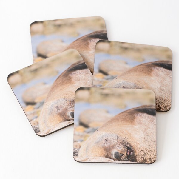 Item preview, Seal - Lazy Lion designed and sold by spencer-r.