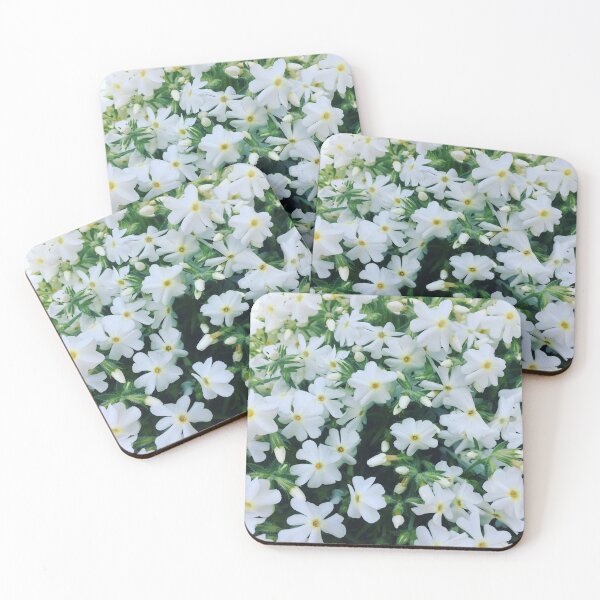 Item preview, White Flowers Phlox Photo designed and sold by OByD.