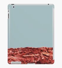 Foundation iPad Case/Skin