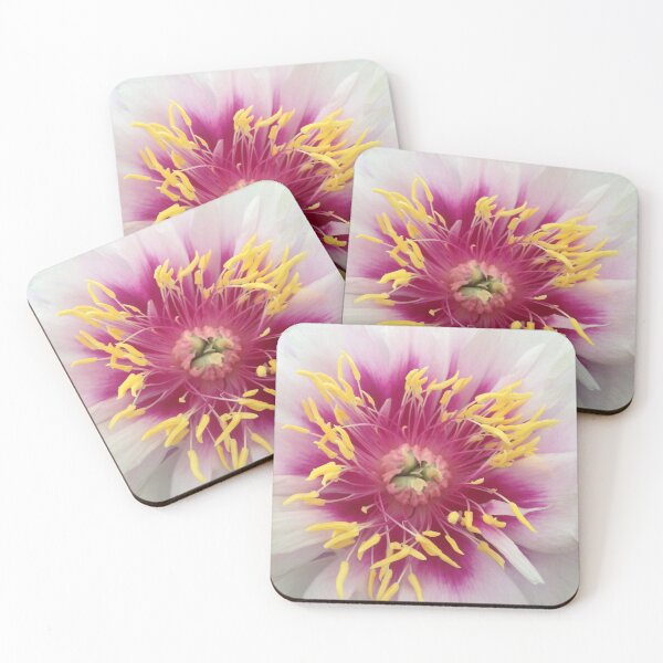 Item preview, Peony Flower designed and sold by OByD.