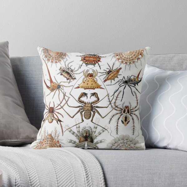 Ernst Haeckel Pillows Cushions Redbubble