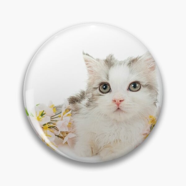 Chat Blanc Pins And Buttons Redbubble