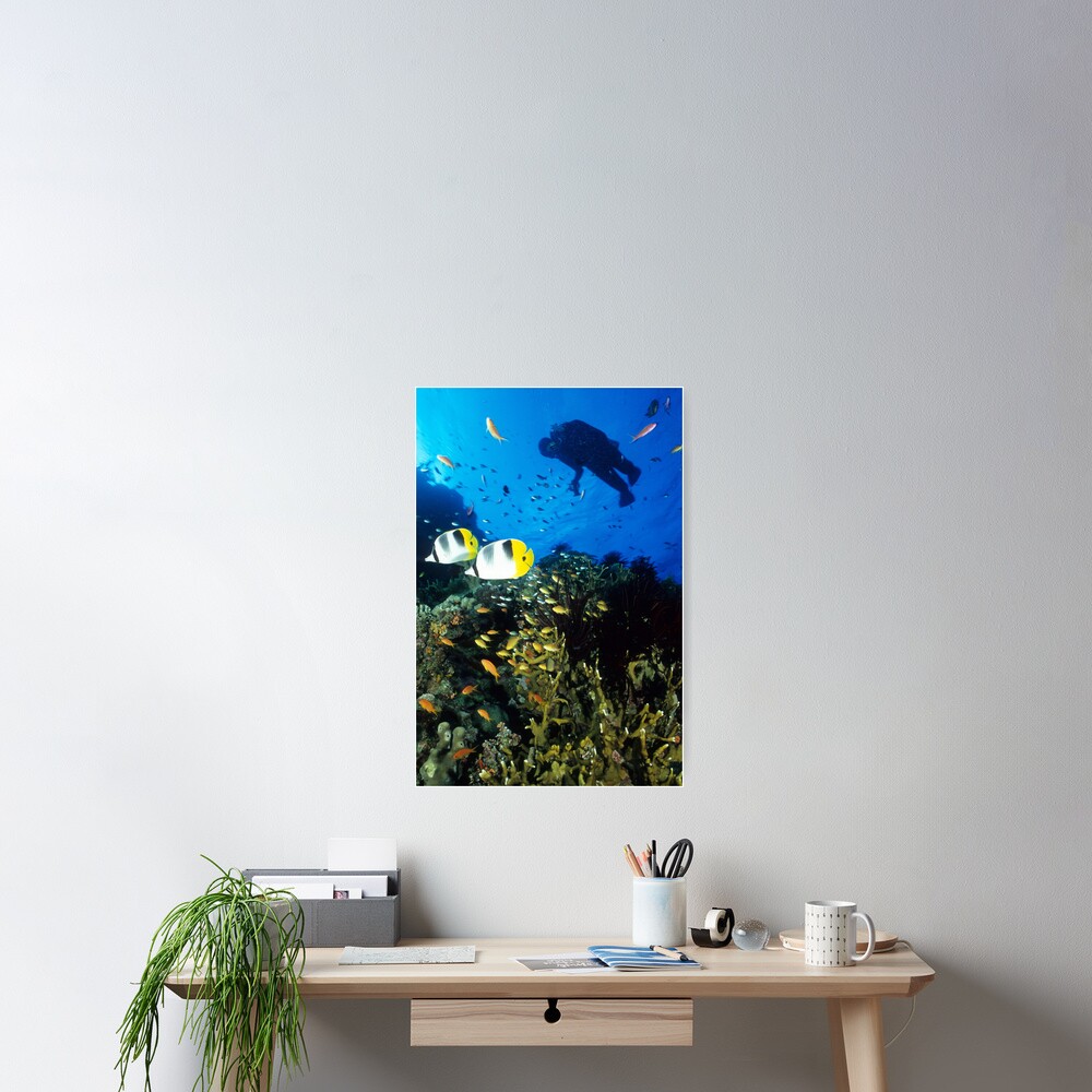 Pixie dreaming Poster