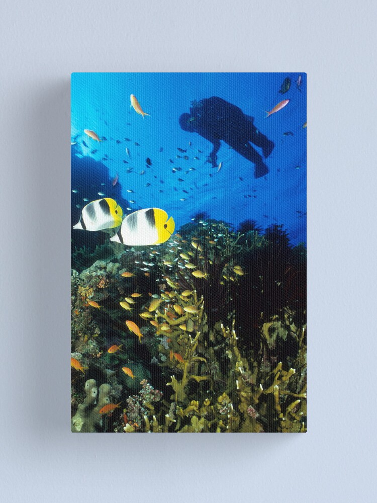 Alternate view of Pixie dreaming Canvas Print