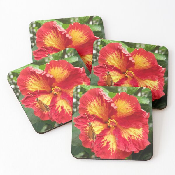 Artikelvorschau, Schmetterling auf Hibiskus entworfen und verkauft von M-Baughman-Art.
