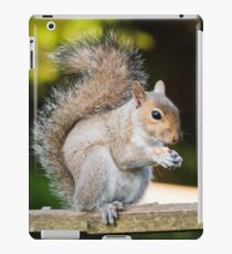 Squirrel On Fence 2 iPad Case/Skin