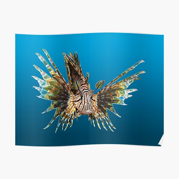 Feuerfisch | Schwebender Fisch auf blauem Hintergrund | Poster