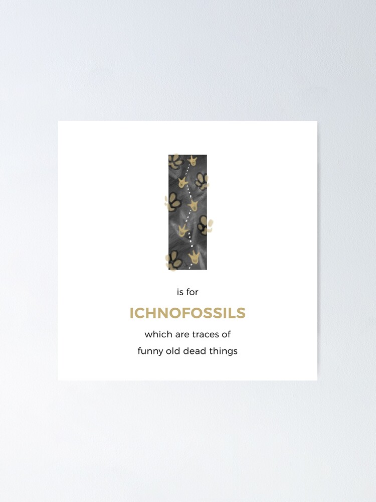 Alternate view of I is for Ichnofossils Poster
