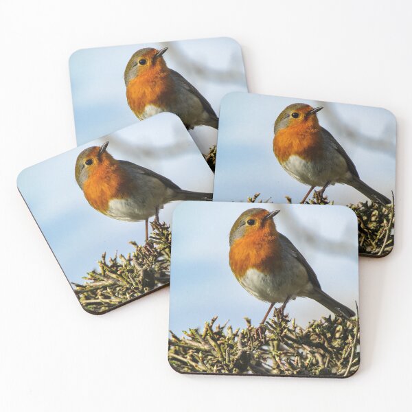 Item preview, Robin perched on a hedgerow  designed and sold by Joanne Wall.