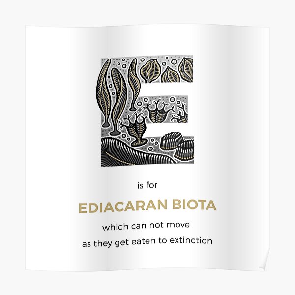 E is for Ediacaran Biota Poster