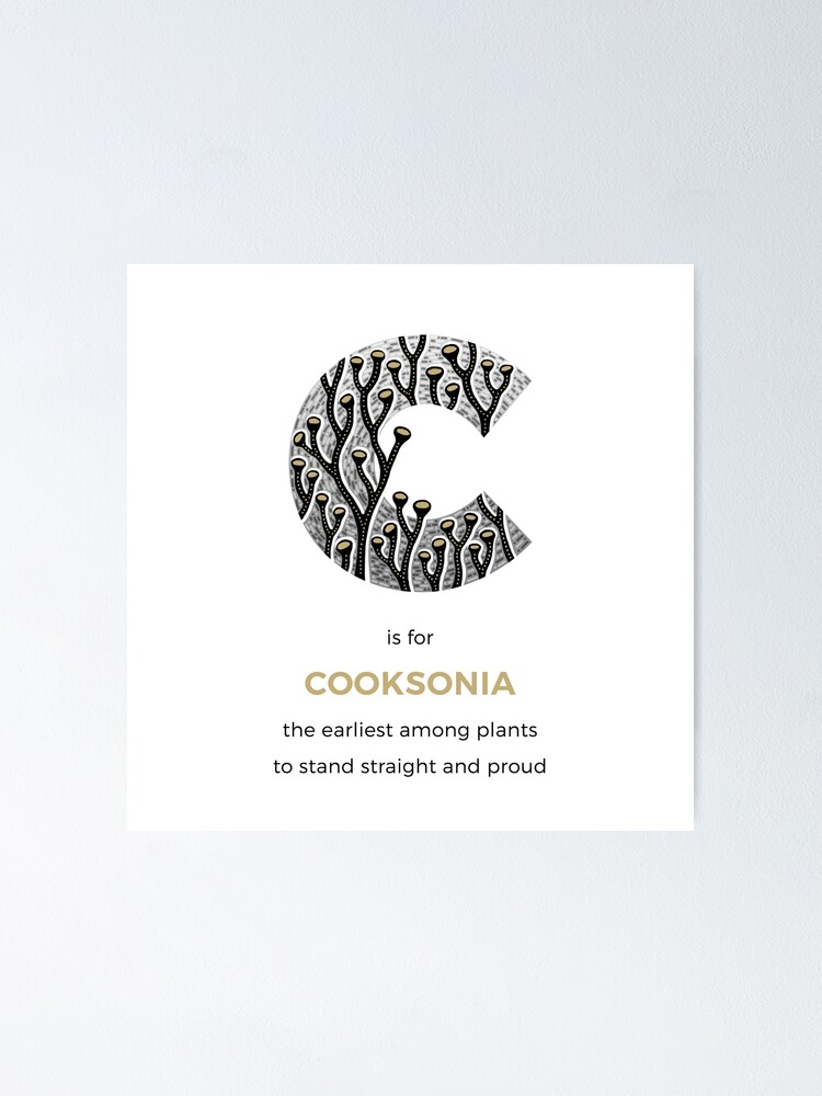 Alternate view of C is for Cooksonia Poster