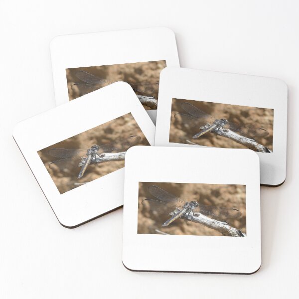 Item preview, stillness designed and sold by rat-lv426.