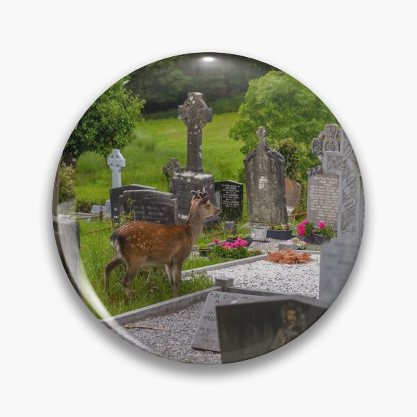 Item preview, Young deer on the Irish Graveyard of Muckross Abbey, an Old Irish Monastery in Killarney National Park, Ireland designed and sold by AlbertMi.