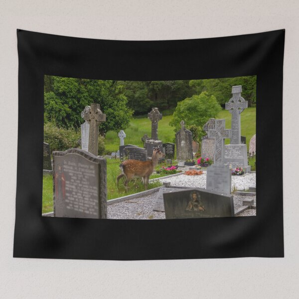 Item preview, Young deer on the Irish Graveyard of Muckross Abbey, an Old Irish Monastery in Killarney National Park, Ireland designed and sold by AlbertMi.