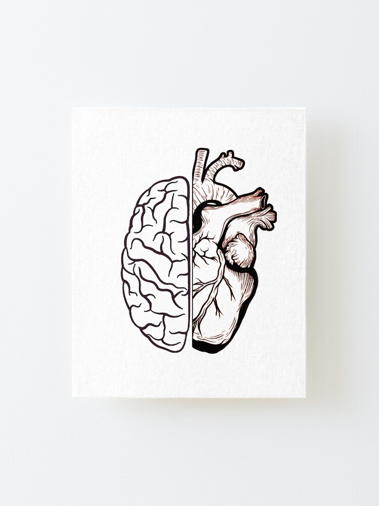 half brain half heart half brain half heart