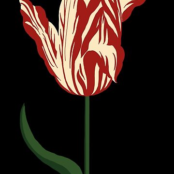 Artwork thumbnail, Tulip Fever by Fiona Gray