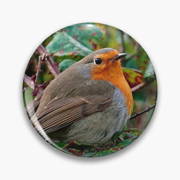 Item preview, Robin on a cold day designed and sold by Steven Tyrer.