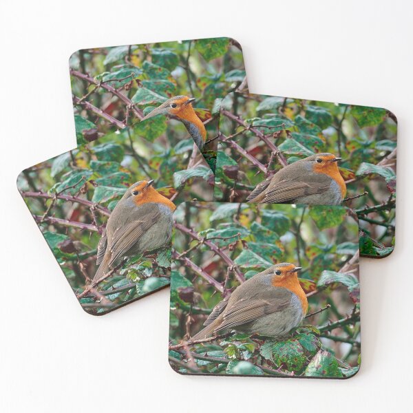 Item preview, Robin on a cold day designed and sold by Steven Tyrer.