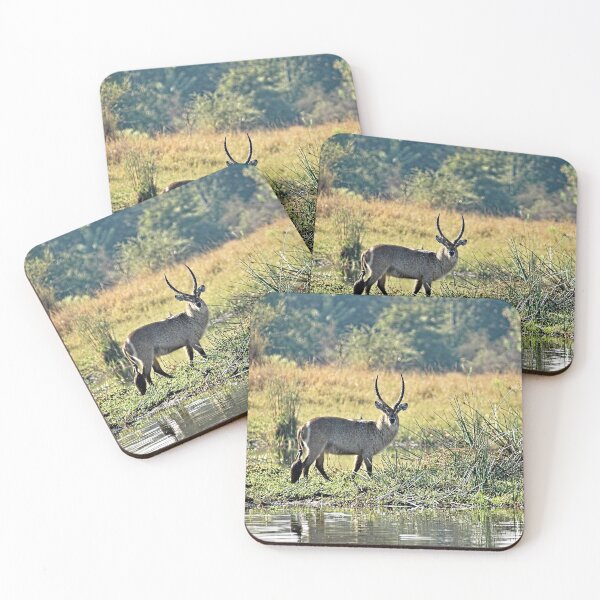 Item preview, Waterbuck Antelope River Bank Africa designed and sold by worldways.