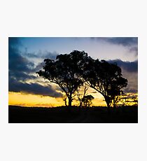 Uralla Sunset Photographic Print