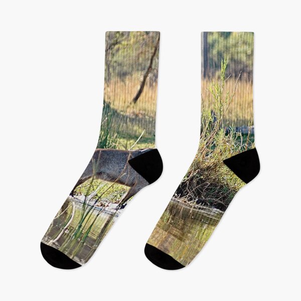 Item preview, African Waterbuck Antelope River Bank Africa designed and sold by worldways.