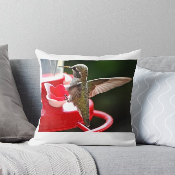 Item preview, JUVENILE FEMALE ANNA'S HUMMINGBIRD designed and sold by JAYMILO.