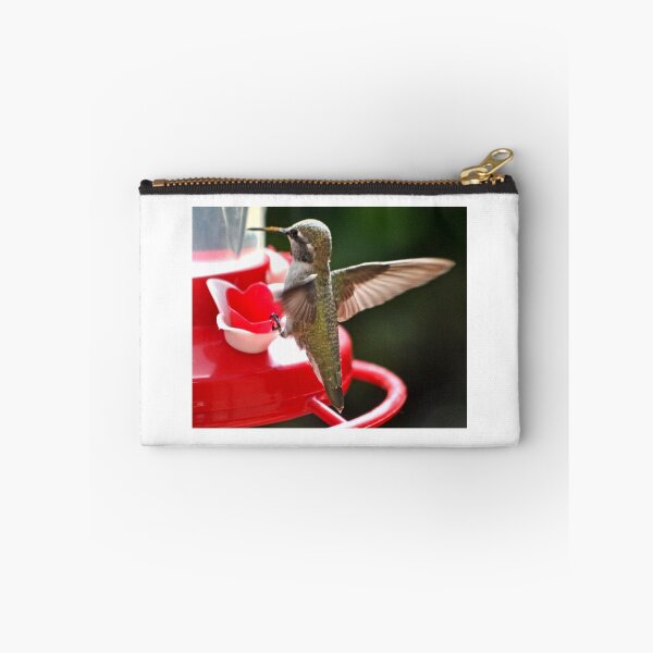 Item preview, JUVENILE FEMALE ANNA'S HUMMINGBIRD designed and sold by JAYMILO.
