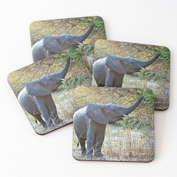 Item preview, African Baby Elephant Acacia Tree Forest Africa designed and sold by worldways.