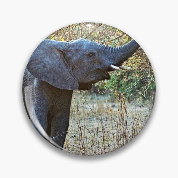Item preview, African Baby Elephant Acacia Tree Forest Africa designed and sold by worldways.