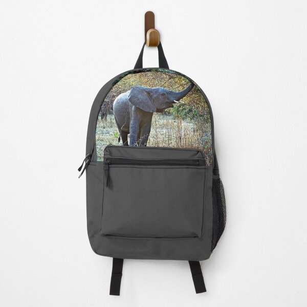 Item preview, African Baby Elephant Acacia Tree Forest Africa designed and sold by worldways.