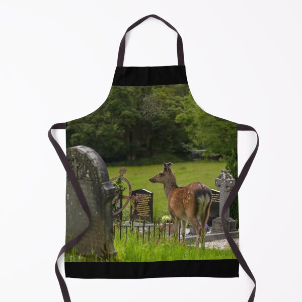 Artikelvorschau, Hirsche auf einem irischen Friedhof der Muckross Abbey, einem alten irischen Kloster im Killarney-Nationalpark, Irland entworfen und verkauft von AlbertMi.