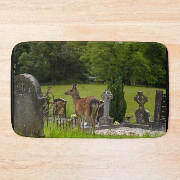 Item preview, Deer in an Irish cemetery of Muckross Abbey, an Old Irish Monastery in Killarney National Park, Ireland designed and sold by AlbertMi.
