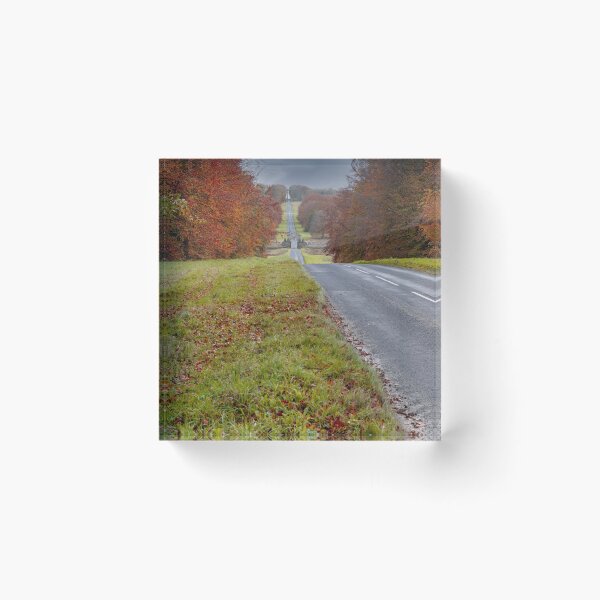 Item preview, The Stray, Castle Howard designed and sold by richardpinder.
